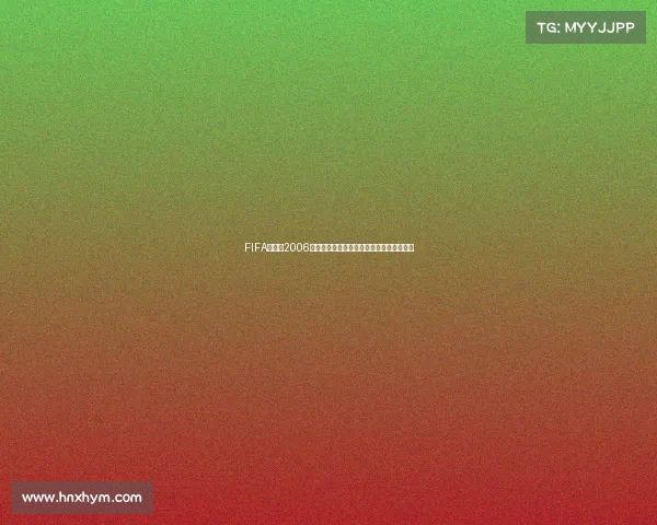 FIFA世界杯2006无法打开的原因及解决方法全解析指南攻略
